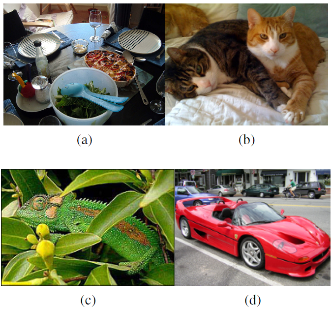 [Object Detection] Selective Search for Object Recognition (IJCV 2013 ...